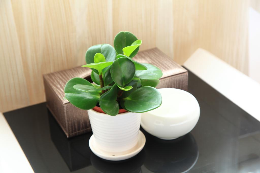 Shang Yuan Hotel Canton Chambre photo